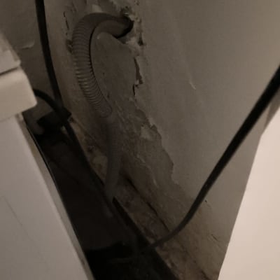 צינור גמיש יוצא מקיר עם טיח מתקלף