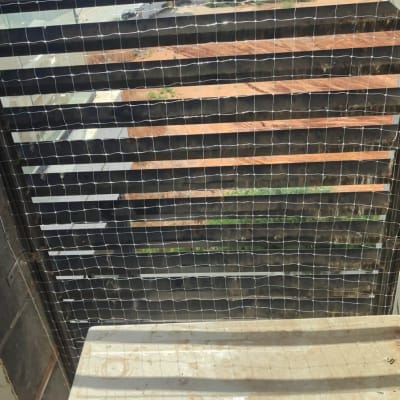 רשת למניעת כניסת יונים על חלון בניין