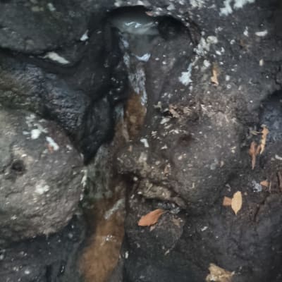 בור עם מים זורמים ואדמה רטובה