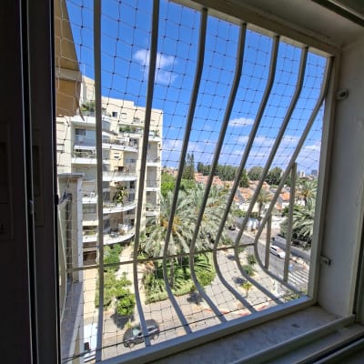 חלון עם רשת נגד יונים ונוף עירוני