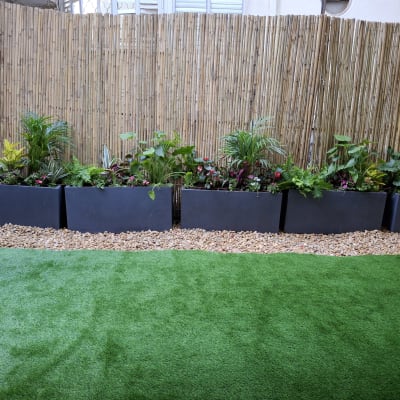 צמחים ירוקים באדניות על דשא מלאכותי