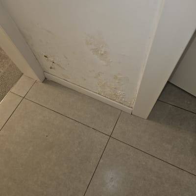 סימני רטיבות, קילוף צבע ונפיחויות בתחתית קיר סמוך למשקוף דלת