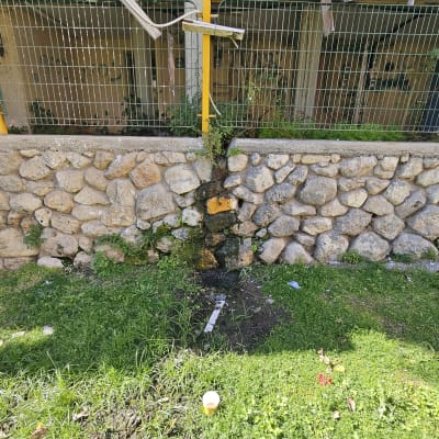 נזילה בקיר אבן עם צמחייה מסביב