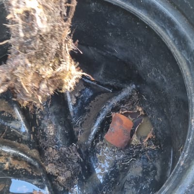 חומר רטוב ומלוכלך בתוך מיכל שחור