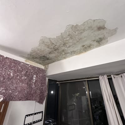 תקרה מתקלפת עם סימני רטיבות ושיפוץ
