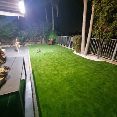 דשא ירוק עם עצים וגדר בלילה