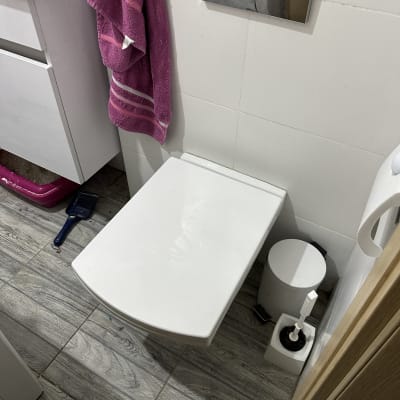 שירותים עם מברשת ניקוי ופח אשפה קטן