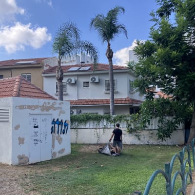 אדם אוסף גזם דשא בשקית בגינה