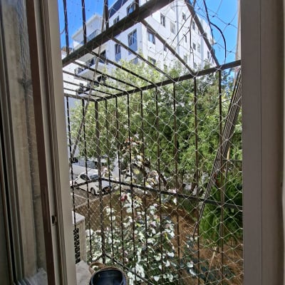 רשת יונים מותקנת על חלון עם נוף לבניין ועצים