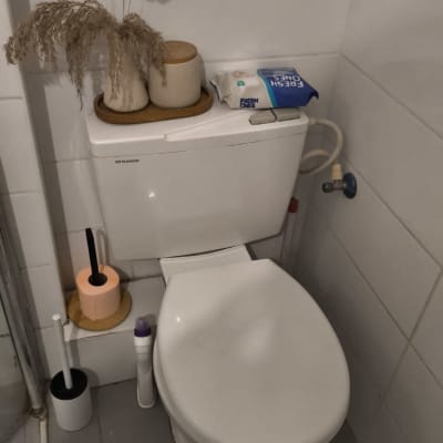 אסלה עם מיכל הדחה, מברשת ניקוי ונייר טואלט