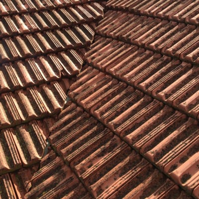 רעפים חומים על גג עם לכלוך וטחב