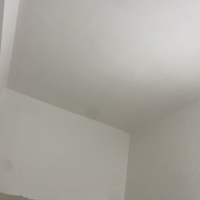 קיר ותקרה לבנים עם דלת חלקית