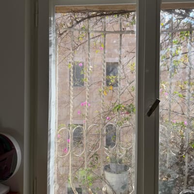 חלון עם סורגי מתכת וצמחים בחוץ