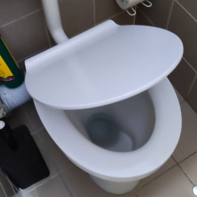 אסלה עם מכסה פתוח, מברשת ניקוי בצד