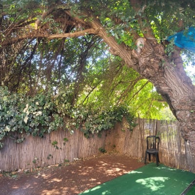 גדר במבוק עם כיסא פלסטיק שחור ליד עץ גדול