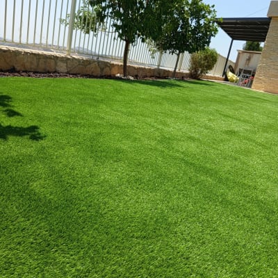 דשא ירוק ועץ ליד גדר לבנה