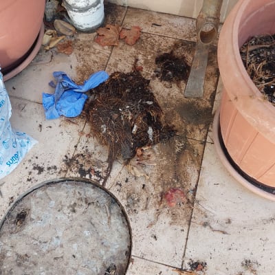 צינור ביוב, כפפה כחולה, לכלוך על הרצפה