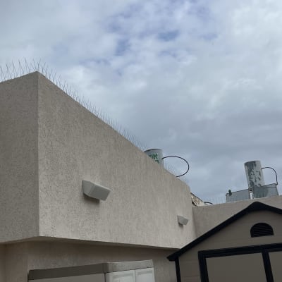 דוקרנים על גג למניעת יונים