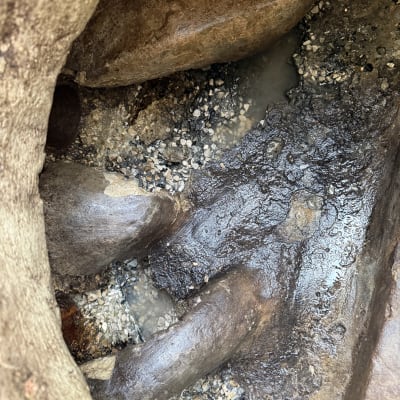 תמונה של צינורות ובוץ, ייתכן קשור לעבודה עם ביוביות.