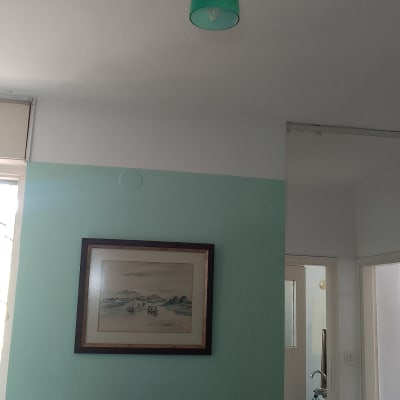 מנורה תלויה מהתקרה עם אהיל ירוק