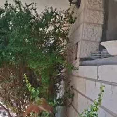 צמחייה ליד קיר אבן עם מנורה