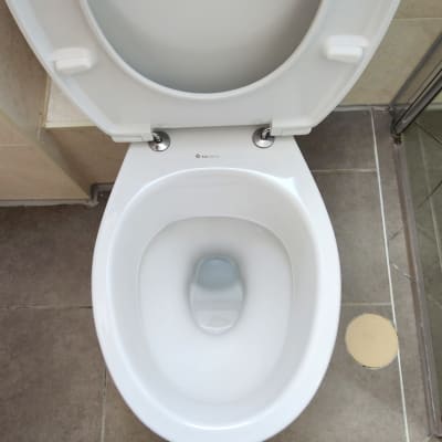 אסלה לבנה נקייה בחדר אמבטיה