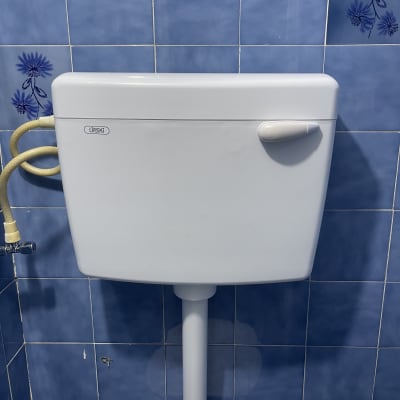 ניאגרה לבנה על רקע קיר כחול עם פרחים