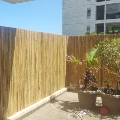 גדר במבוק ועציצים במרפסת