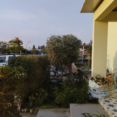 שק גזם וכלי גינון ליד עץ ושיחים