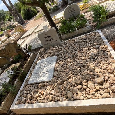 מצבות ואבנים בבית קברות עם עצים וצמחייה מסביב