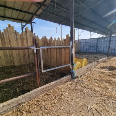 מסגרת מתכתית בתוך מבנה עם גג פח