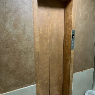 דלת מעלית צבועה בגוון חום זהוב