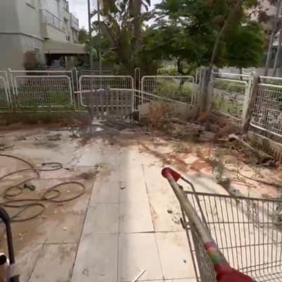 עגלת קניות וחצר עם צמחייה ועצים