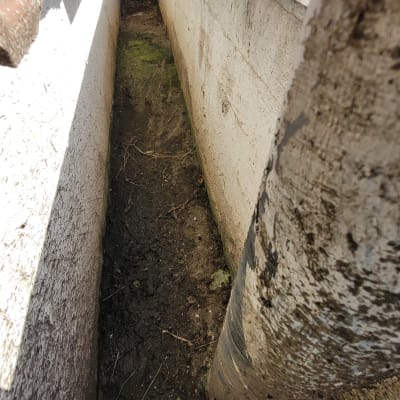 מרזב מתכת על גג עם לכלוך וטחב