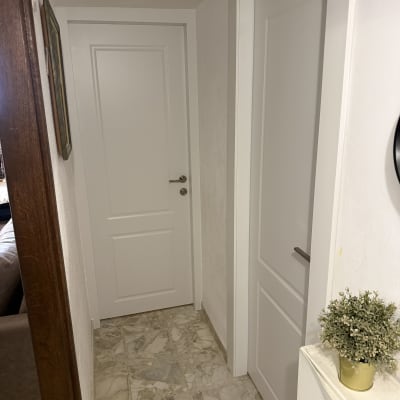 שתי דלתות לבנות במסדרון עם עציץ קטן