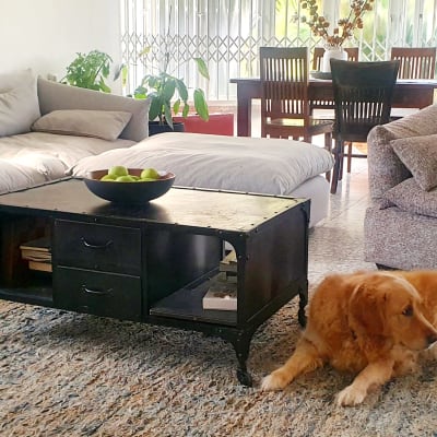 ספות מרופדות עם כריות נוי בסלון