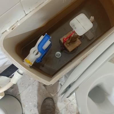 מיכל שירותים פתוח עם חלקים פנימיים גלויים