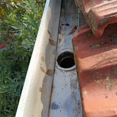 מרזב גג עם עלים ואריחים אדומים