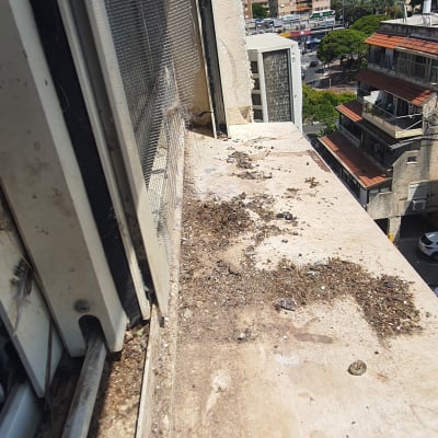 לכלוך יונים על אדן חלון חיצוני