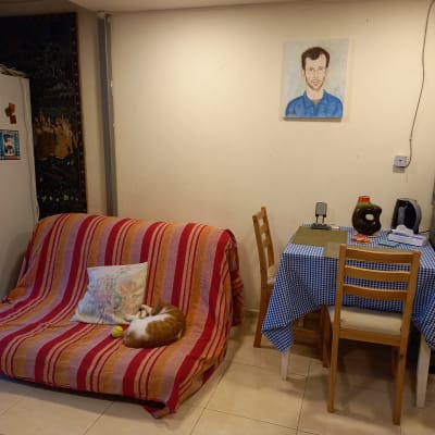 ספה עם כיסוי מפוספס, שולחן עם מפה משובצת