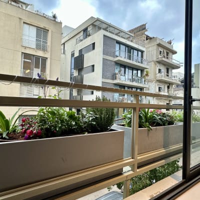 עציצים עם פרחים על מרפסת בבניין מגורים