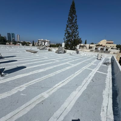 גג עם איטום לבן ודודי שמש