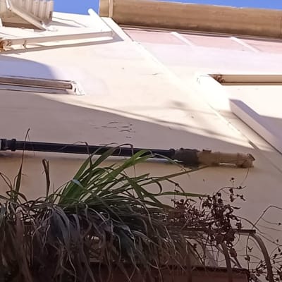 צינורות מים על קיר חיצוני עם צמחייה