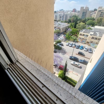 דוקרנים למניעת יונים על אדן חלון