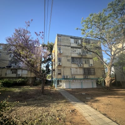 עץ גזום ליד בניין מגורים