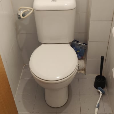 אסלה עם מברשת וניקוי, חדר שירותים