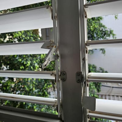 תריסים לבנים עם מנגנון מתכת, עצים ברקע