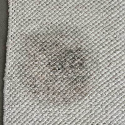 כתם כהה על שטיח בהיר