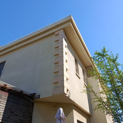 דוקרנים על גג למניעת יונים