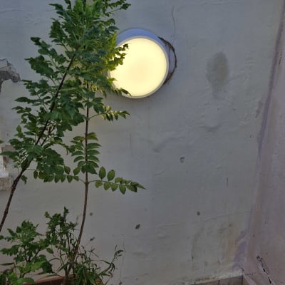 מנורה מותקנת על קיר חיצוני ליד עציץ